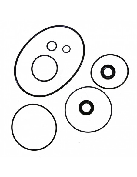 JUEGO DE REPARACIÓN DE BOMBA