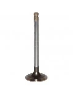 VÁLVULA DE ESCAPE Ø 41 X 8.9 MM - L 122.9 MM - 35°