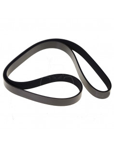 CORREA DE VENTILADOR ACANALADA 8 PK x 1540