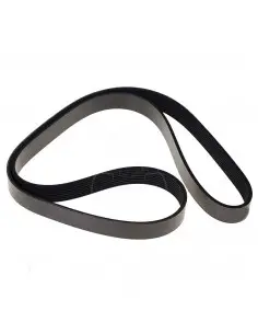 CORREA DE VENTILADOR ACANALADA 8 PK x 1540