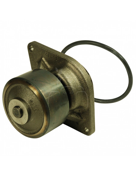 BOMBA DE AGUA CON POLEA Ø 88 MM