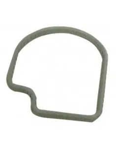 Junta de termostato John Deere R501228