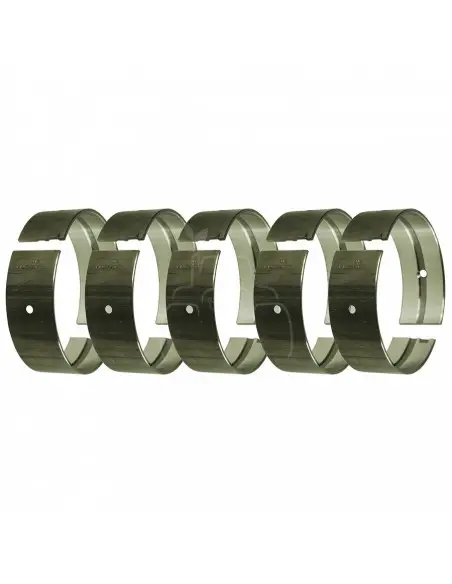 JUEGO DE COJINETES DE BANCADA