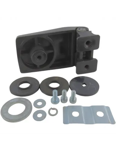 Bisagra puerta conductor Superior Derecha