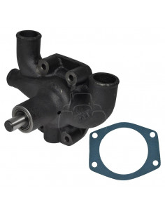 Bomba agua Massey Ferguson y Landini Series Antiguas