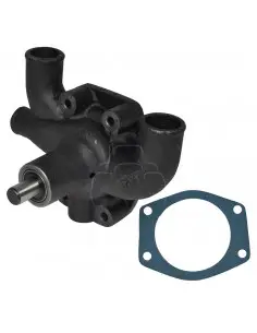 Bomba agua Massey Ferguson y Landini Series Antiguas