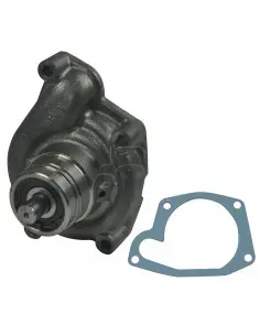 Bomba agua tractores Massey Ferguson 41312466