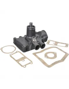 Bomba agua Tractores Massey Ferguson 3641364M91