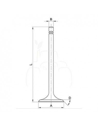 Válvula de Admisión John Deere - Ø 45 x 9,50 + 0.08 mm - L 131 mm - 45 ° T23546