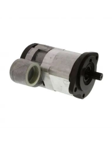 Bomba hidráulica Bosch 10cm³ Tractores Massey Ferguson 3816914M91