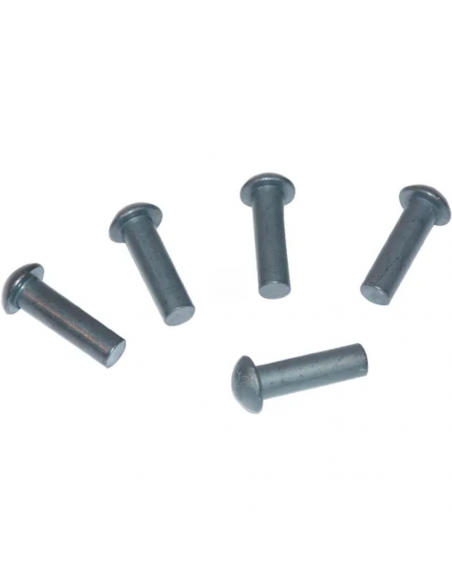Remache segadora 5.5X21 50 unidades