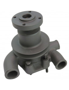 Bomba agua con polea para tractores Massey Ferguson, Landini Series Antiguas
