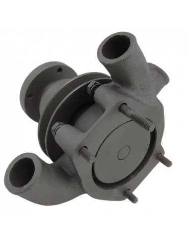 Bomba agua con polea para tractores Massey Ferguson, Landini Series Antiguas