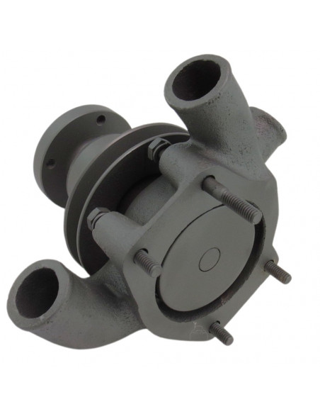 Bomba agua con polea para tractores Massey Ferguson, Landini Series Antiguas