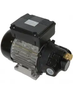 Bomba trasvase aceite 25L/min eléctrica 220v