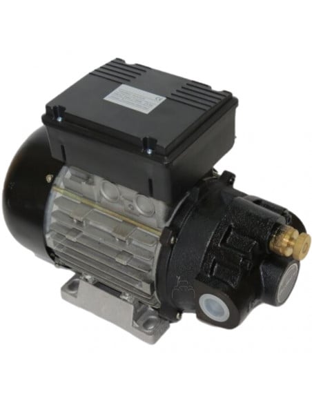 Bomba trasvase aceite 25L/min eléctrica 220v