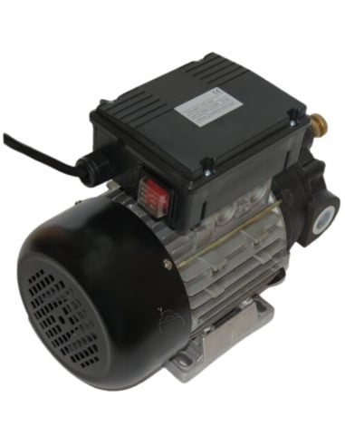 Bomba trasvase aceite 25L/min eléctrica 220v