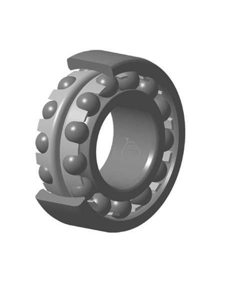 Rodamiento oscilante eje sinfines peladoras Máquina almendras Topavi