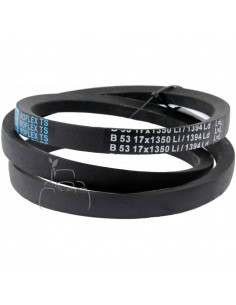 Correa para cosechadoras - Roulunds