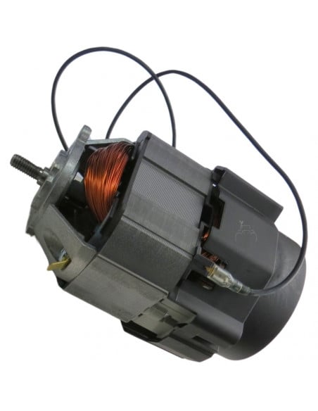 Motor eléctrico 220v para electromolino 13400