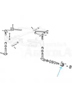 Rodamiento rodillos mangueta puente delantero Ebro - Kubota