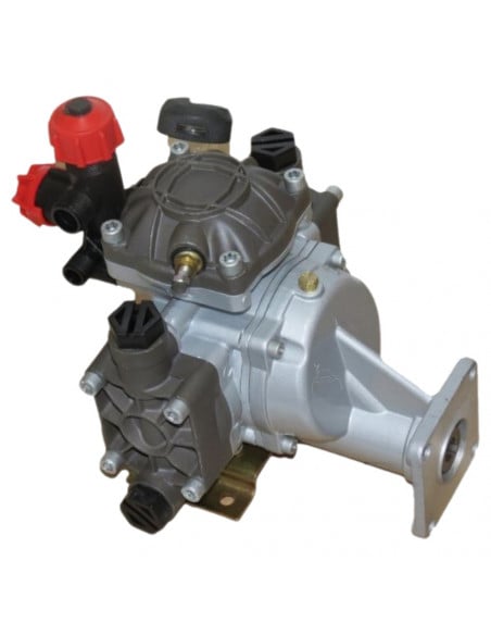 Bomba 2 membranas y comando 20L