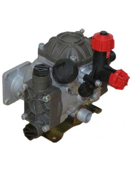 Bomba 2 membranas y comando 20L