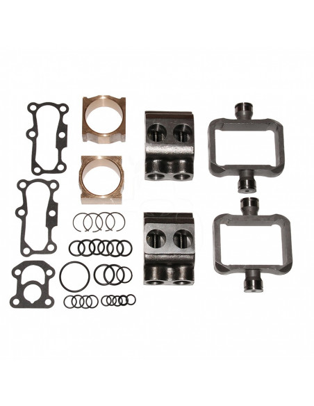 Juego de reparación pistón Ø 25 mm Massey Ferguson 1810860M93