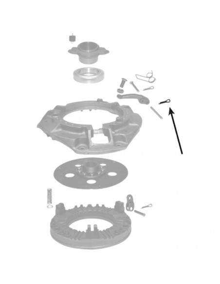 Clip de agarre patilla de embrague Massey Ferguson 1632929M91 (3 uds)