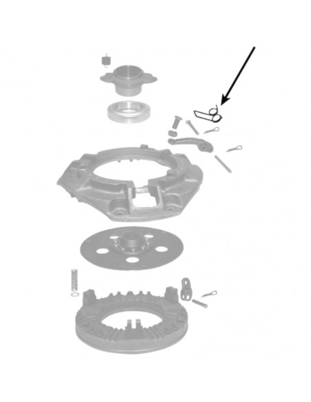 Juego de muelles prensa embrague 3 piezas Massey Ferguson 1754682M2