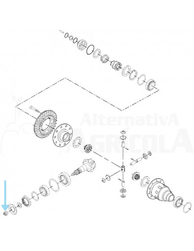 Tuerca piñón ataque eje delantero Massey Ferguson 7250404401