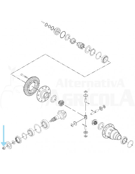 Tuerca piñón ataque eje delantero Massey Ferguson 7250404401