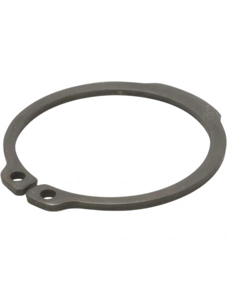 Anillo de seguridad seeger para eje 10 UDS