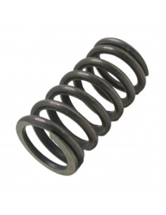 Muelle interior embrague conducido Fiat 5105259