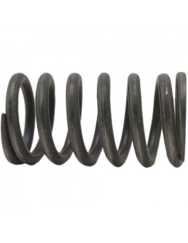 Muelle interior embrague conducido Fiat 5105259