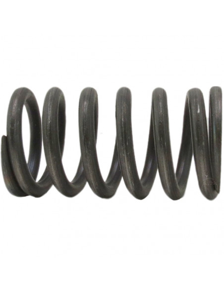 Muelle interior embrague conducido Fiat 5105259