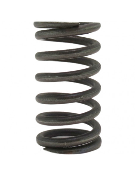 Muelle interior embrague conducido Fiat 5105259