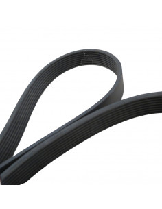 Correa acanalada 8PK1980 Mercedes-Benz, Scania