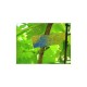 Papel hidrosensible 76 x 26 mm 50 uds