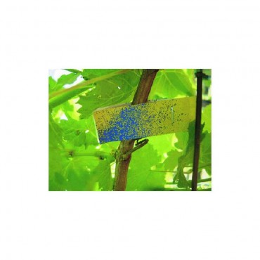 Papel hidrosensible 76 x 26 mm 50 uds