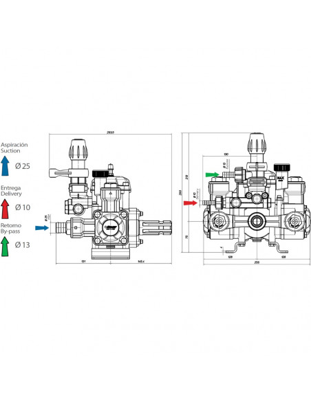 Bomba membrana carretilla BPX 25 con eje cilíndrico 17 mm