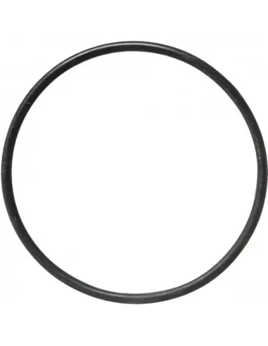 Junta tórica para malla de filtro Ø 107 mm 10 uds