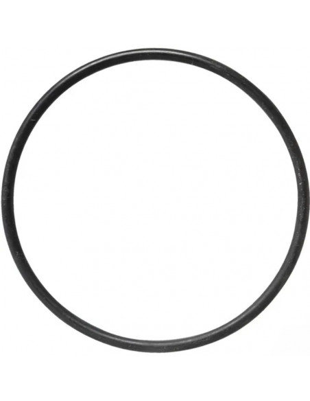 Junta tórica para malla de filtro Ø 107 mm 10 uds
