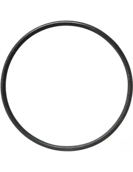 Junta tórica para malla de filtro Ø 107 mm 10 uds