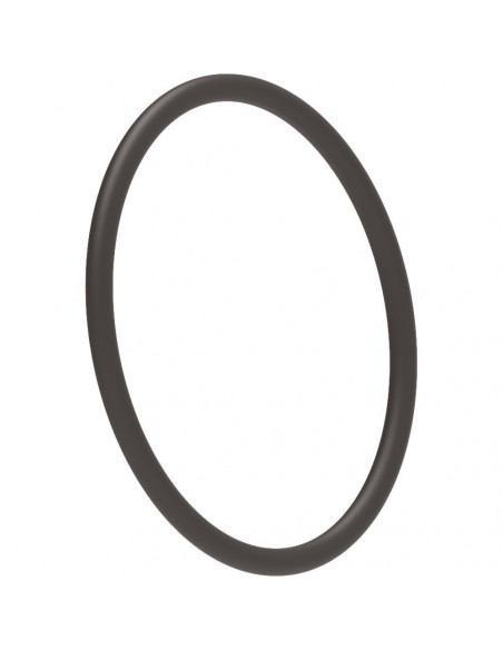 Junta tórica para malla de filtro Ø 50 mm 10 uds