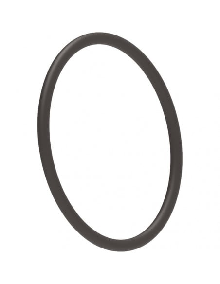 Junta tórica 55,24 x 2,62 mm