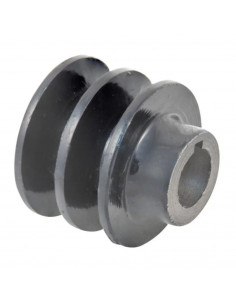 Polea 2 Canales para Motor Ø 60 mm eje 25,4 mm