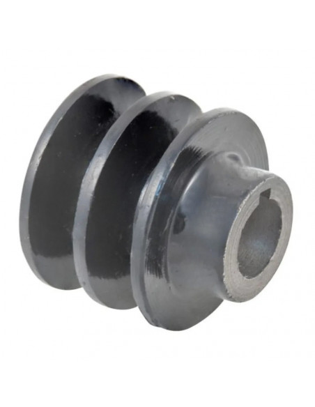 Polea 2 Canales para Motor Ø 60 mm eje 19,05 mm