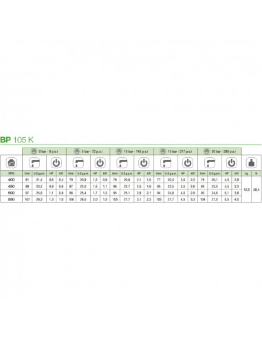 Bomba membrana BP 105K NBR M 1 3/8" Comet