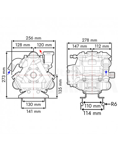 Bomba membrana BP 105K NBR M 1 3/8" Comet